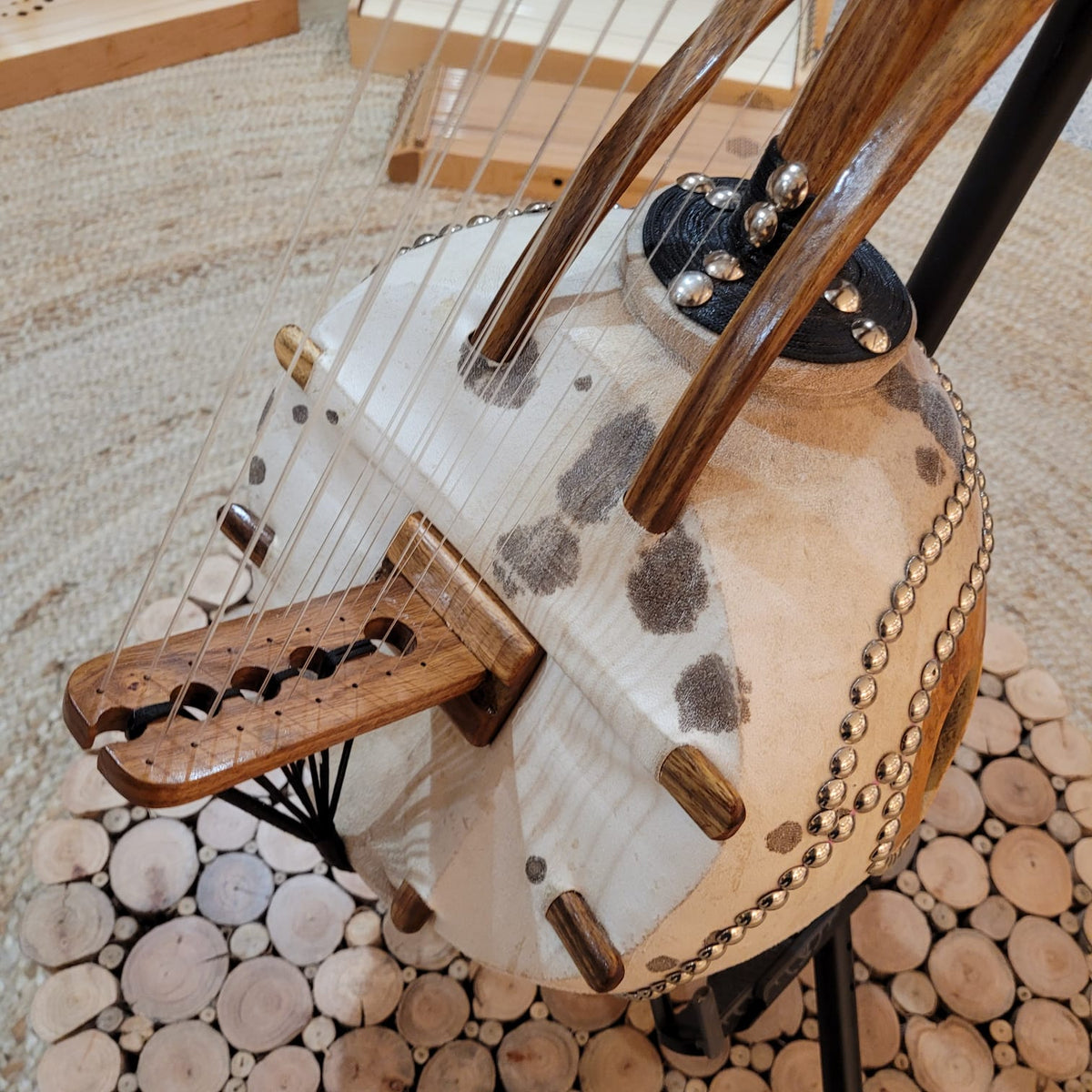Kamelen Goni 16-string from Mali with bag