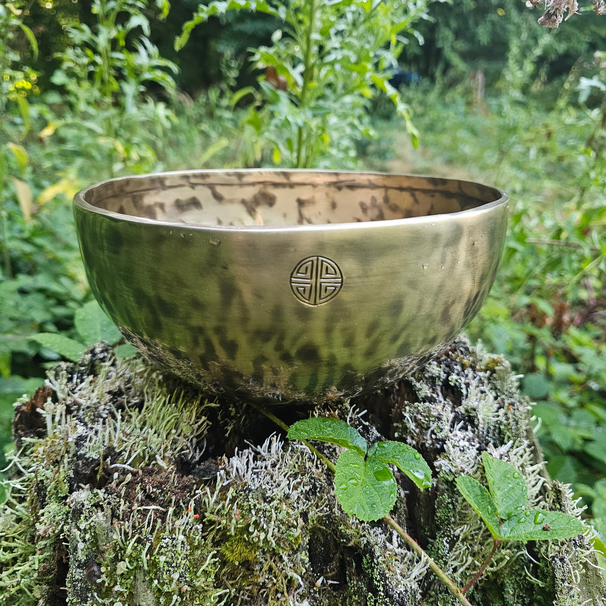 Vollmond Klangschale | ø 23 cm | Wurzelchakra