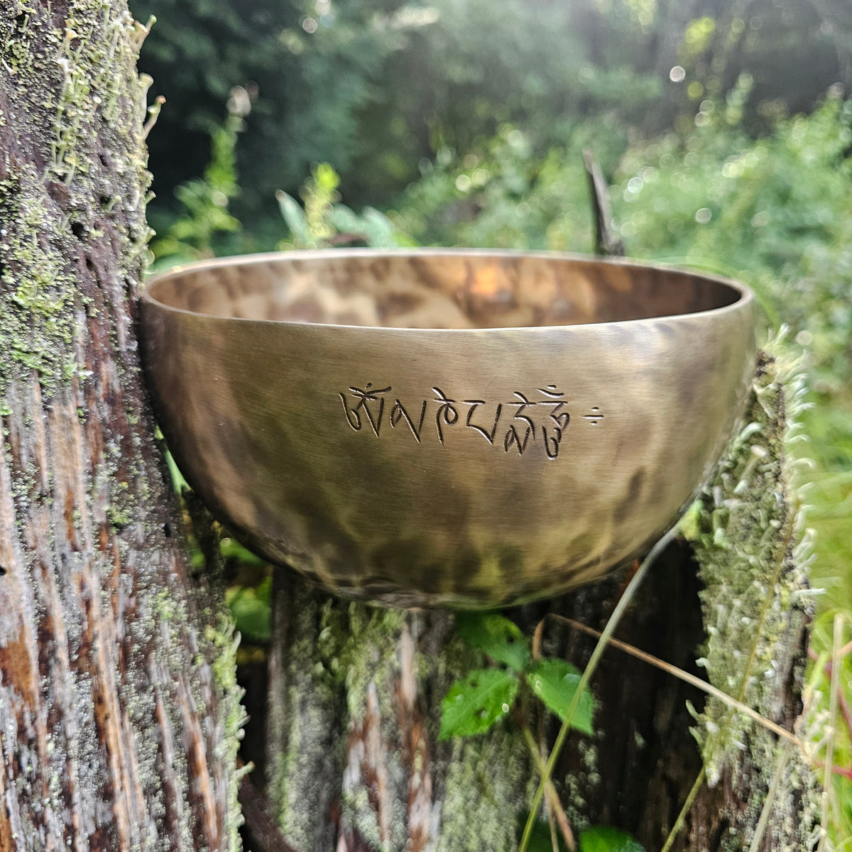 Vollmond Klangschale | ø 20 cm | Herzchakra