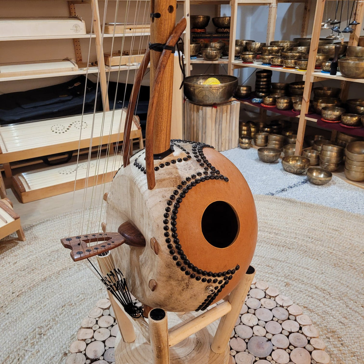 Kamelen Goni 12-String with Amplifier and Case