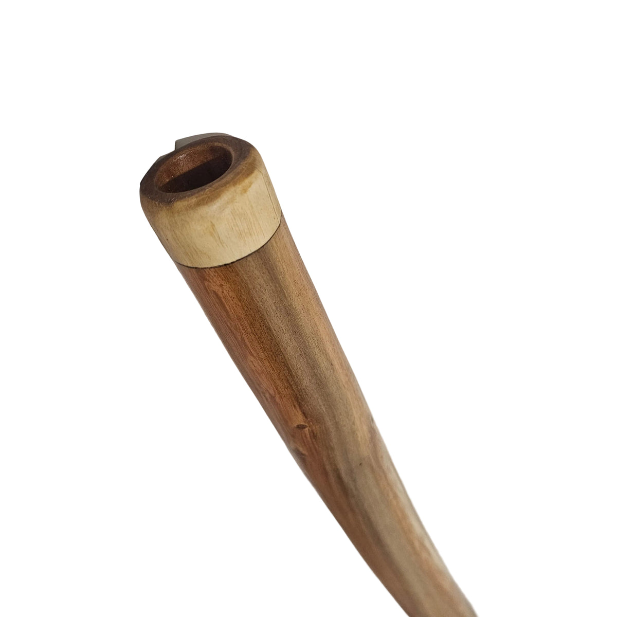 Didgeridoo eucalyptus avec sac
