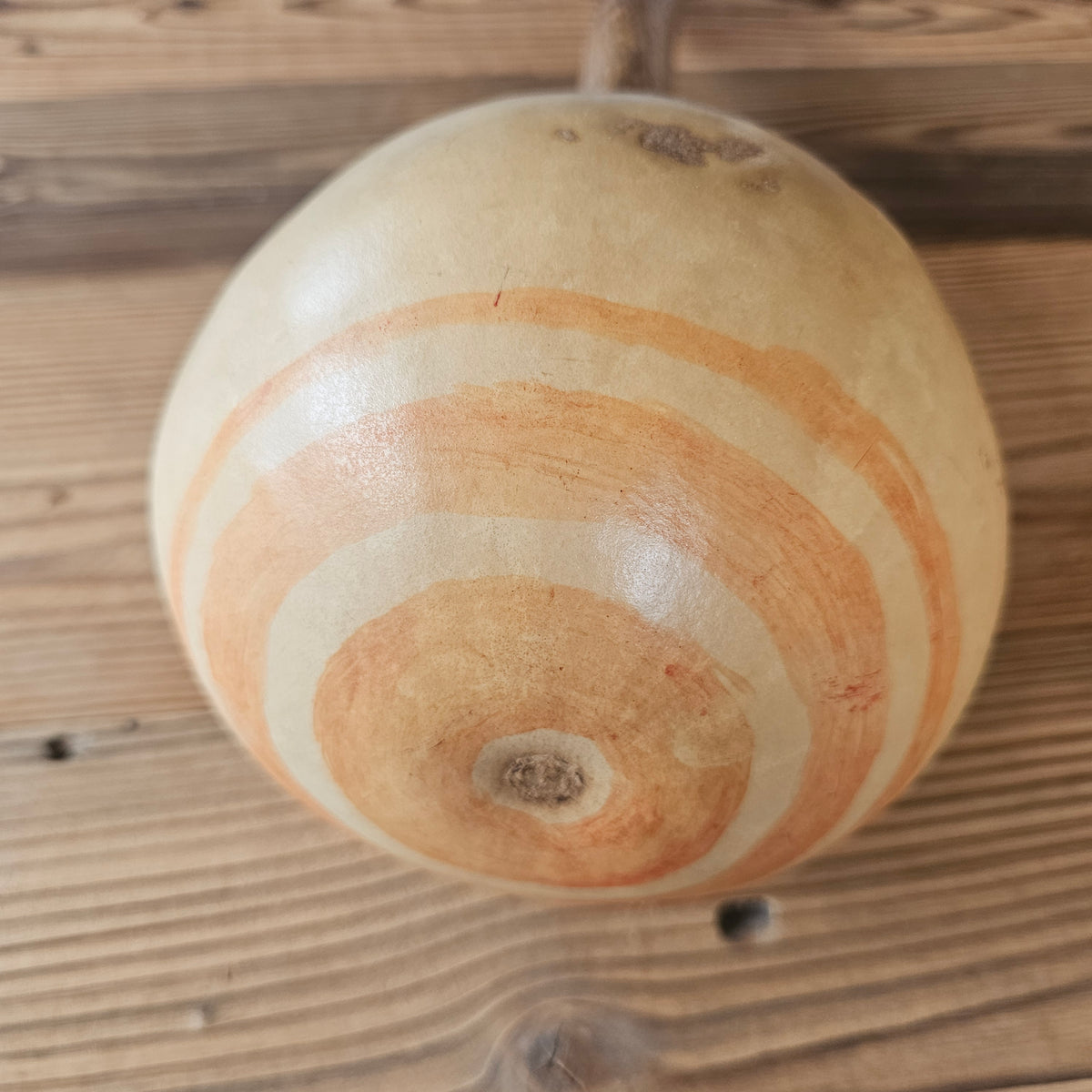 Gourd Rattel | Kalebassenrassel der Lakota