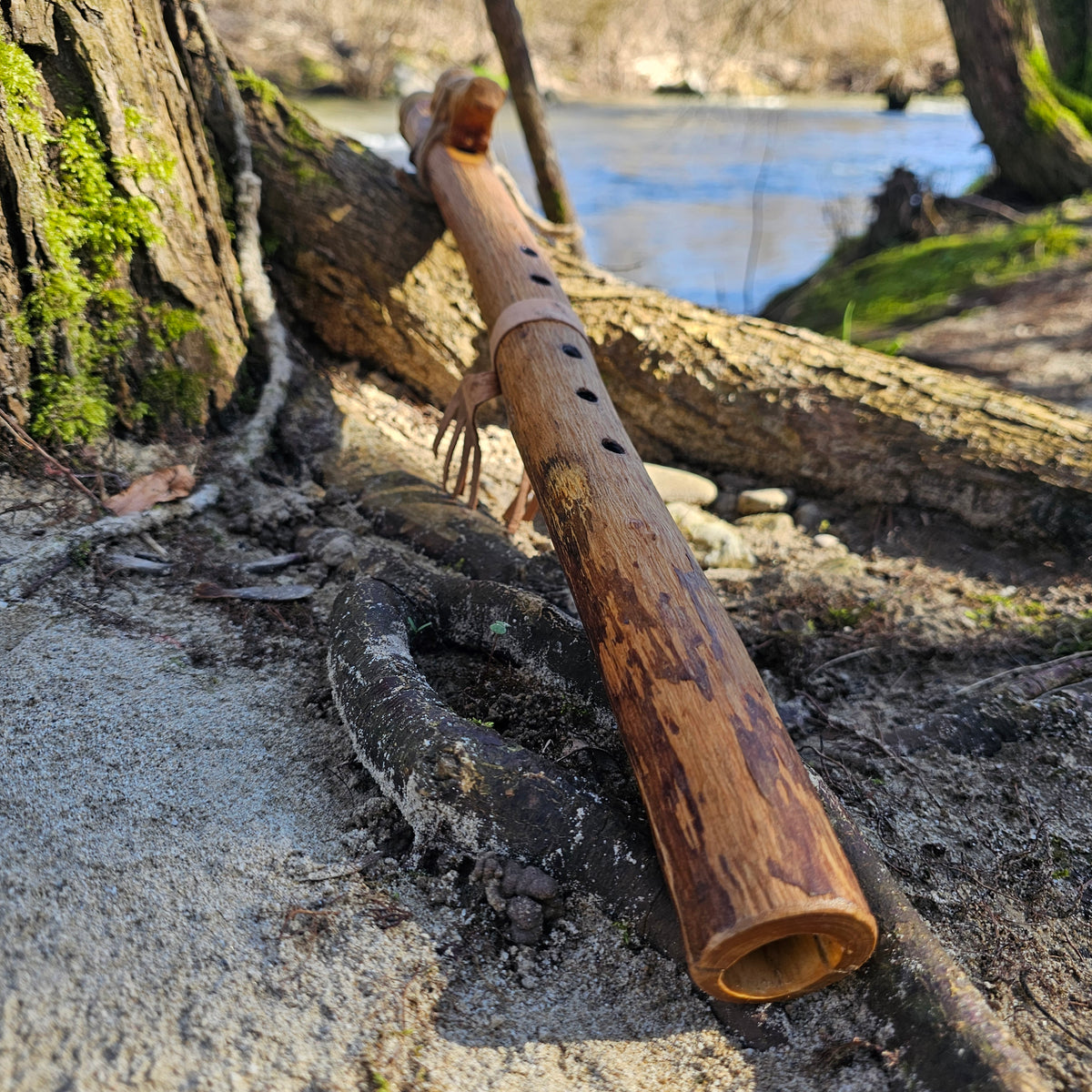 F# ash flute (432H) - otter