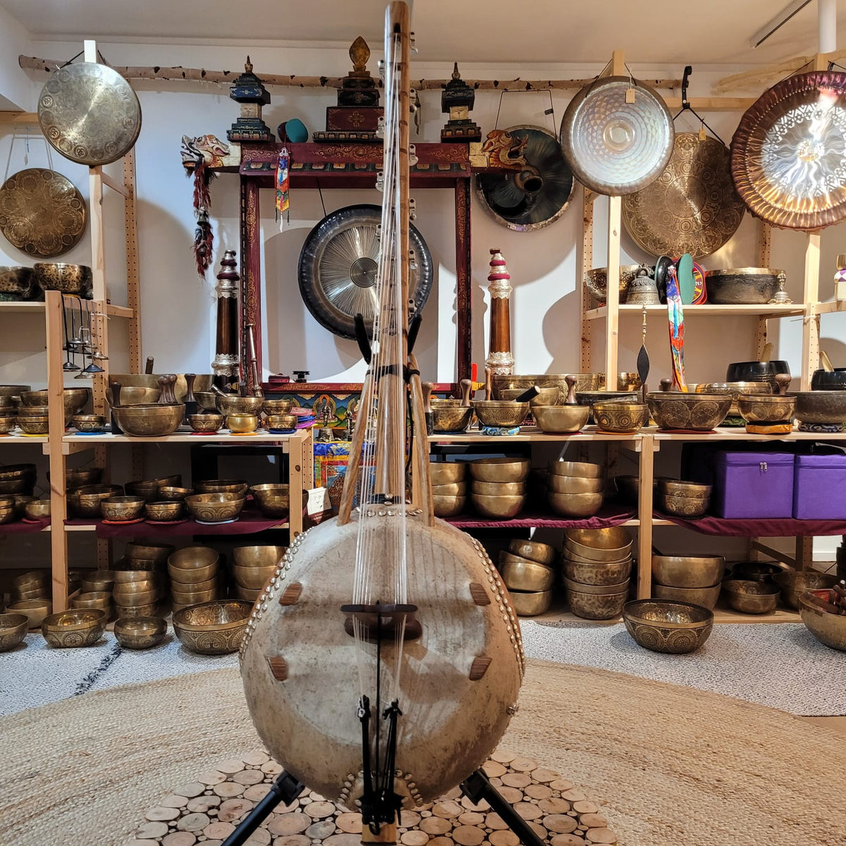 Kamélé n'gonis  12-string with amplifier and case
