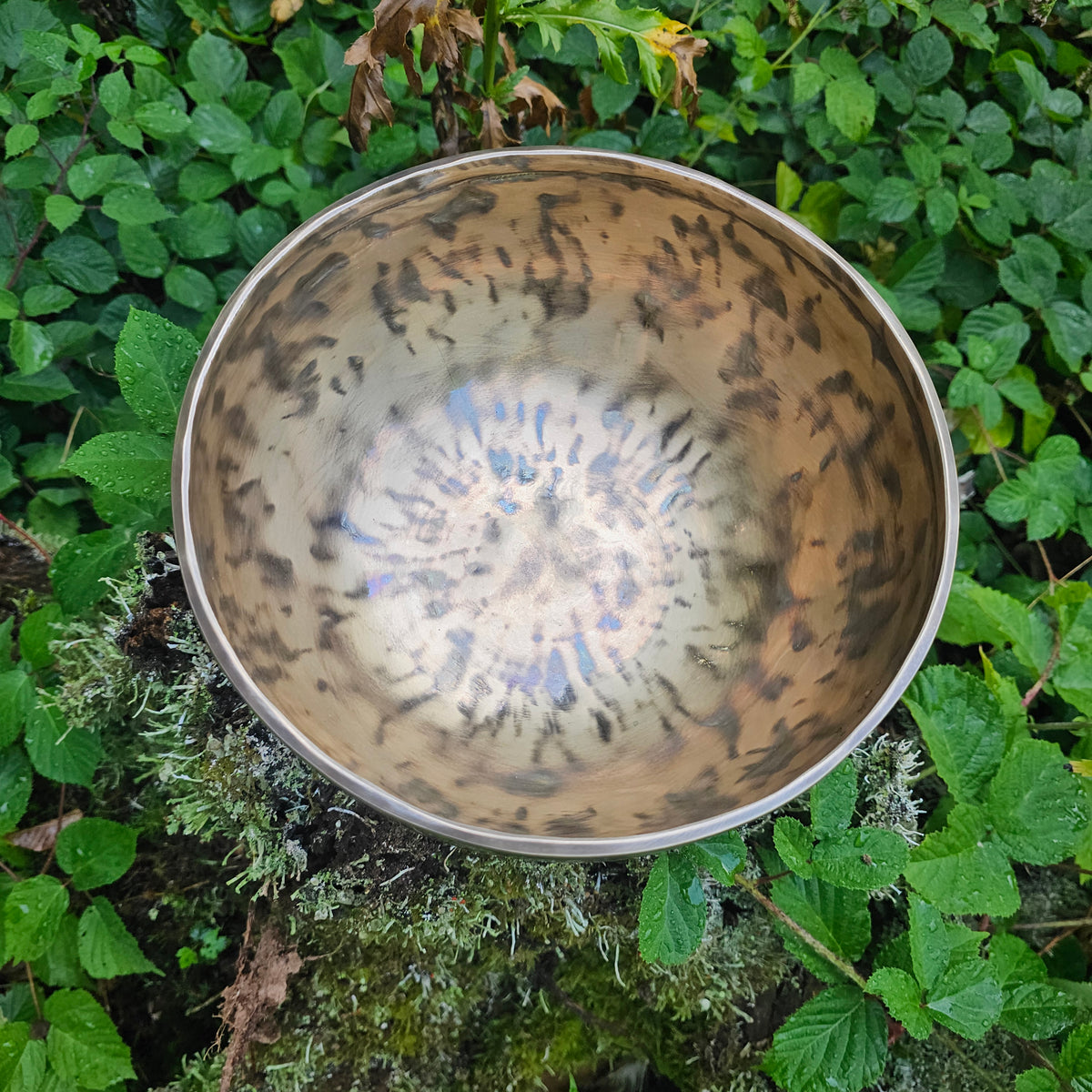 Vollmond Klangschale | ø 23 cm | Wurzelchakra