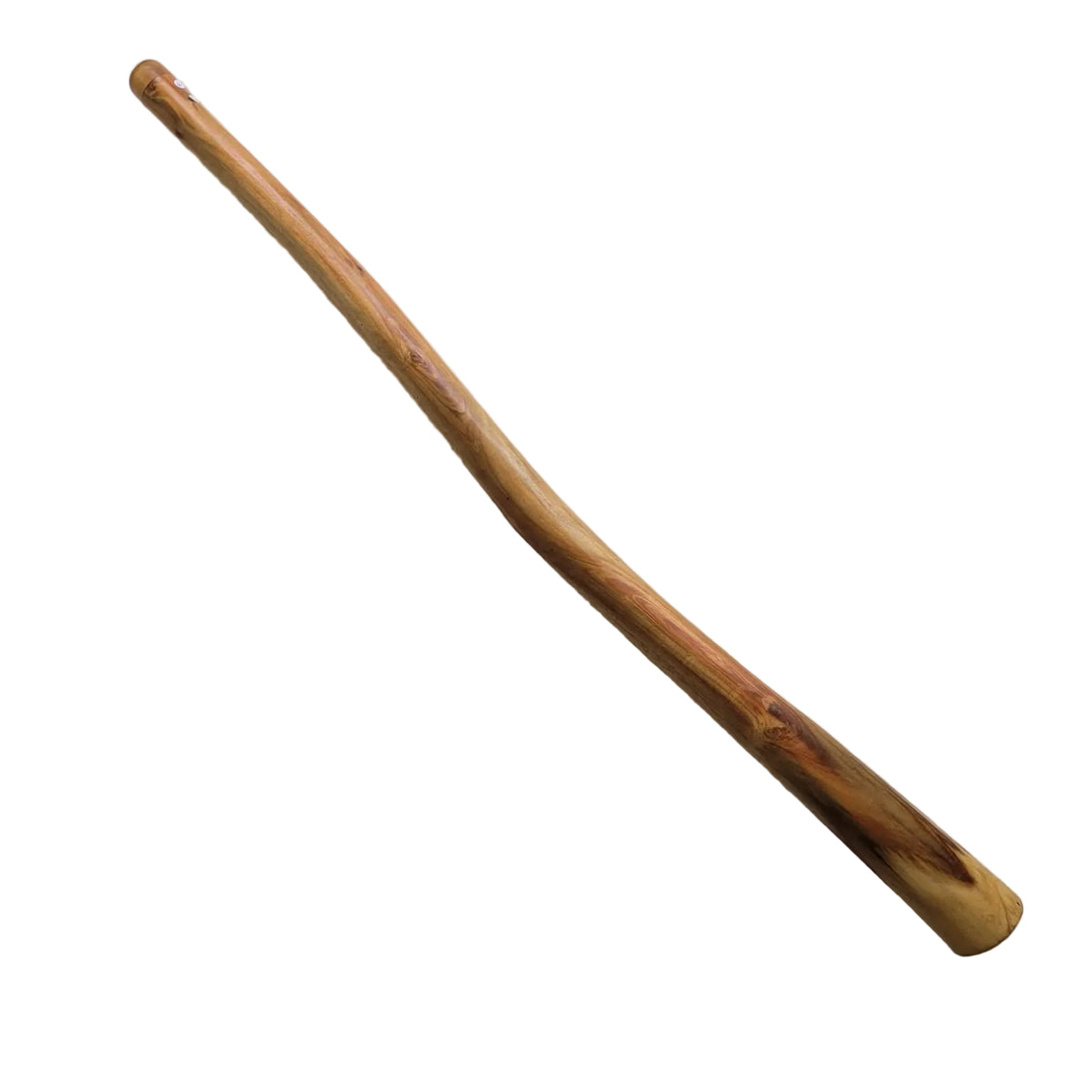 Didgeridoo Eukalyptus mit Tasche in F 432 Hz