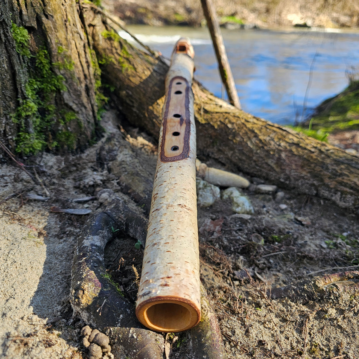 E flute made of birch - Isorno (432H)