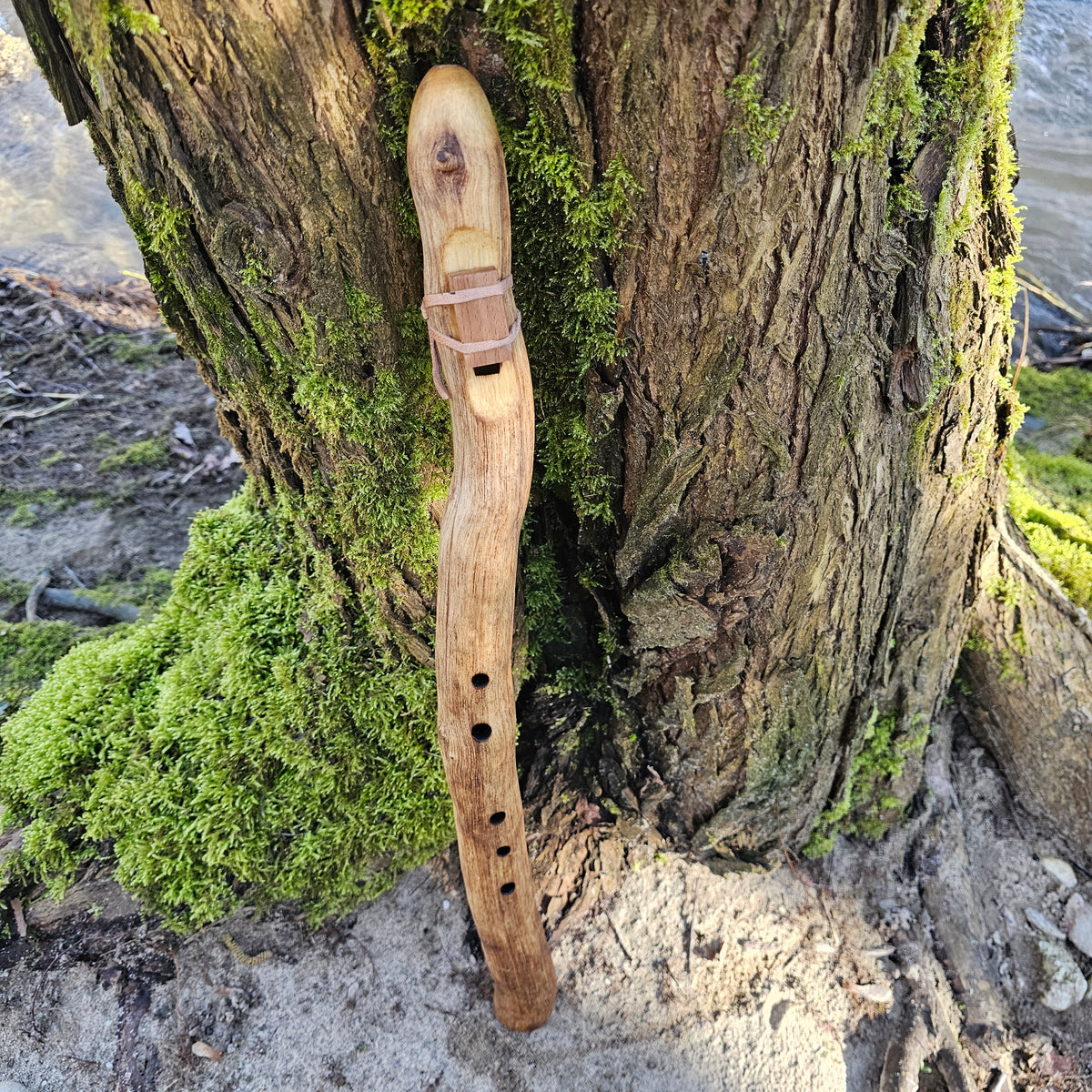 Low D flute made of ash - root ( 440 Hz)