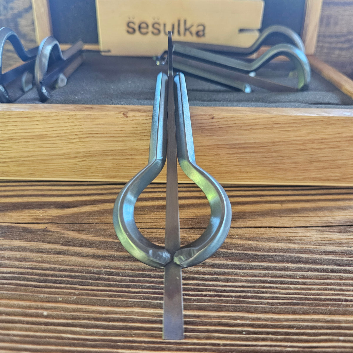 Jumbo jew's harp from S̈es̈ulka, Czech Republic