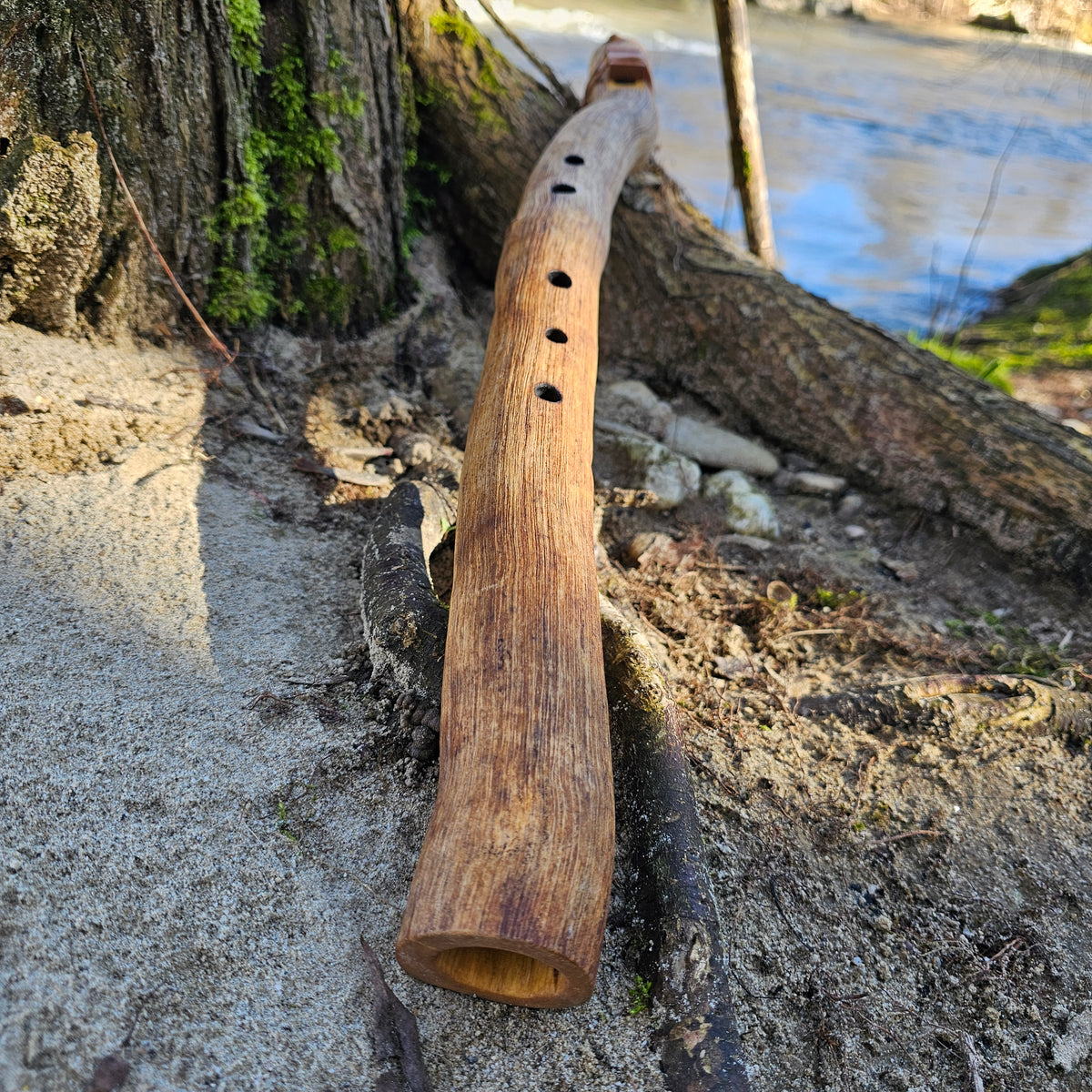 Low D flute made of ash - root ( 440 Hz)
