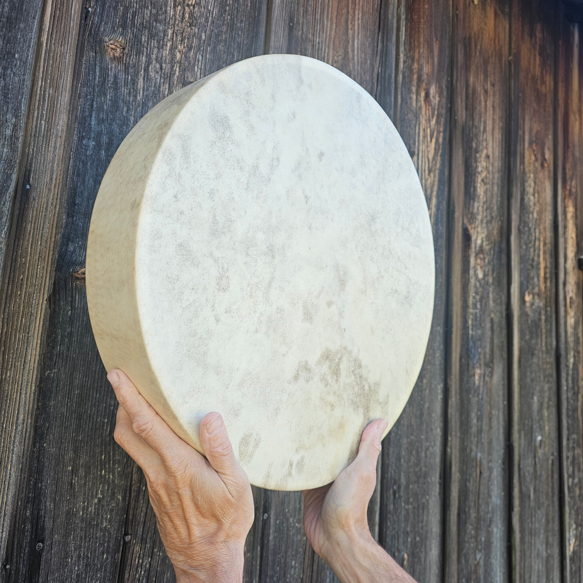 Vollmond Schamanentrommel ø 40 cm - Dammhirsch