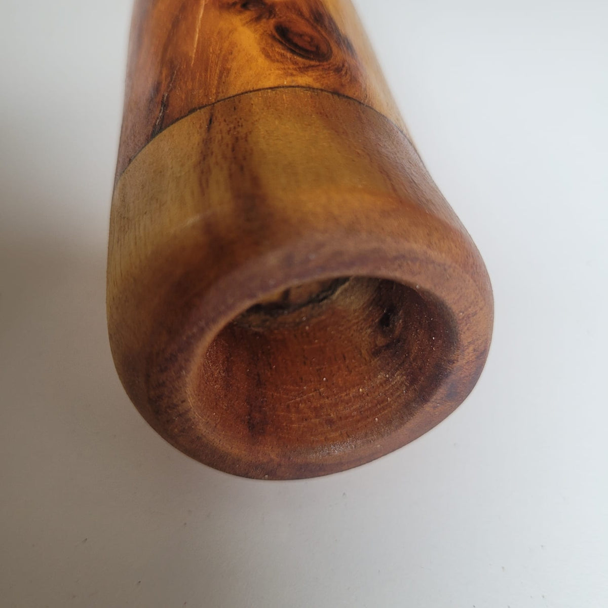 Didgeridoo en eucalyptus avec étui E, 440 Hz