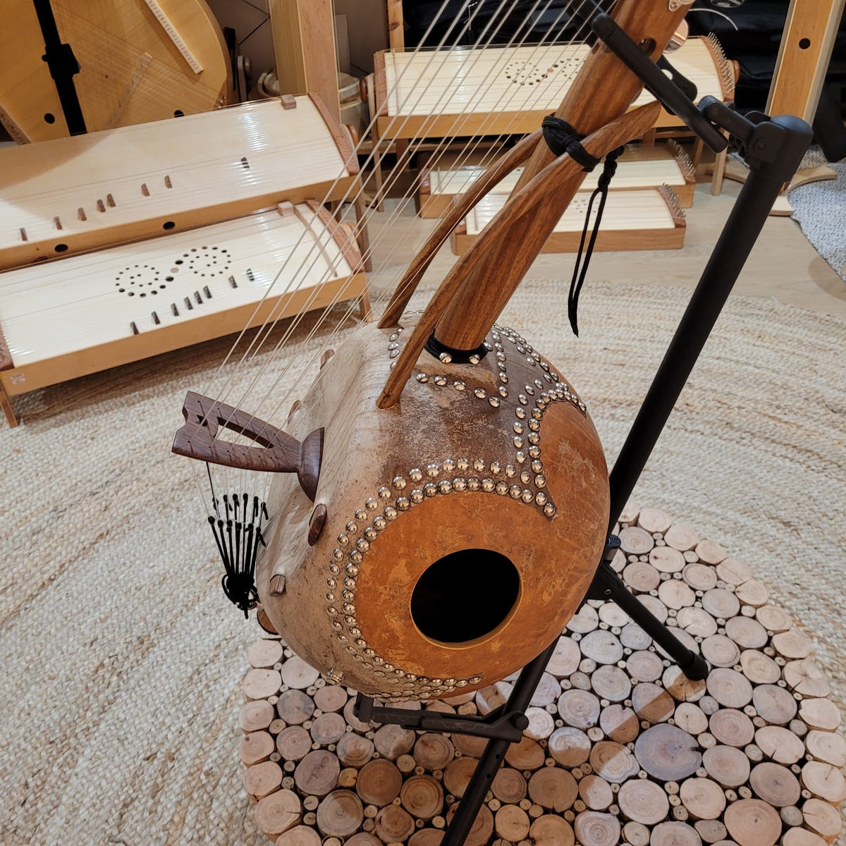 Kamélé n'gonis  12-string with amplifier and case