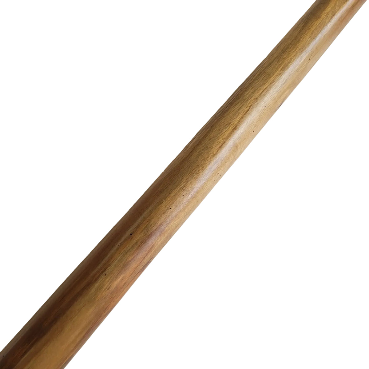 Didgeridoo en eucalyptus avec housse, en mi (440 Hz)