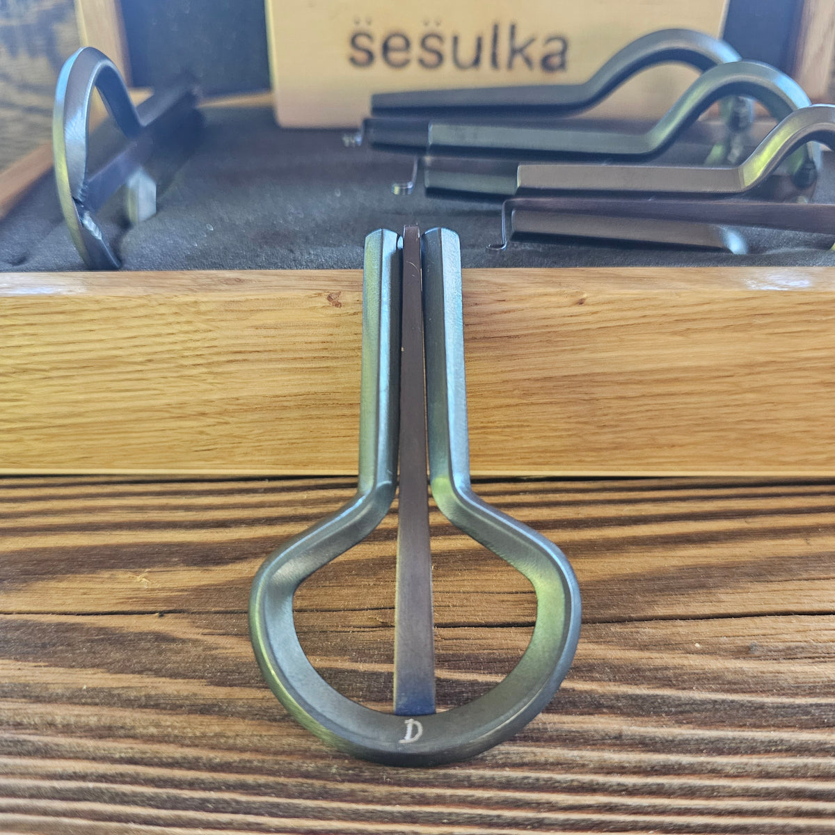 Rabach Maultrommel von S̈es̈ulka, Tschechien