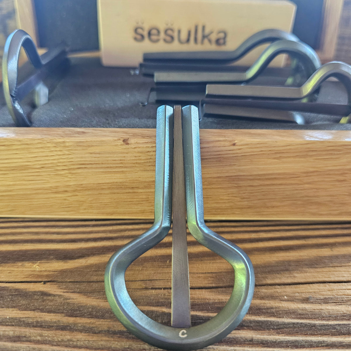 Rabach Maultrommel von S̈es̈ulka, Tschechien