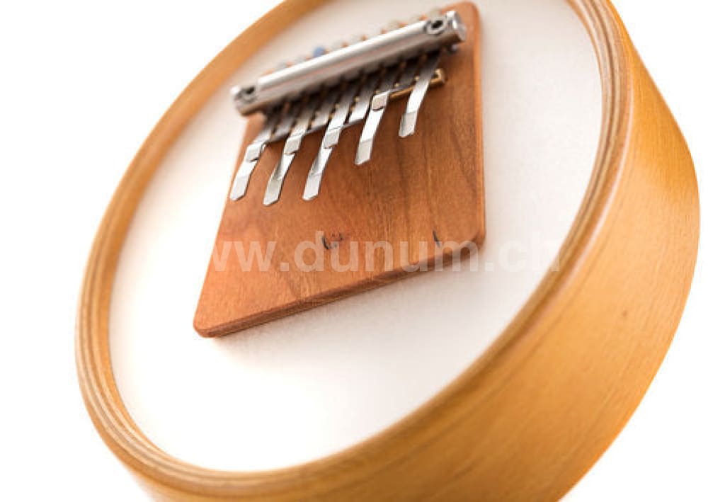 Sansula Renaissance von Hokema | Melodisch & Harmonisch | Sansula & Kalimba | Dunum.ch