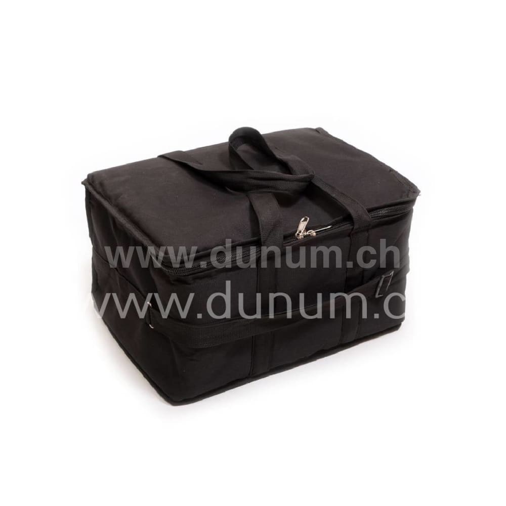 Sarangg Mini Pro 440 Hz oder 432 Hz