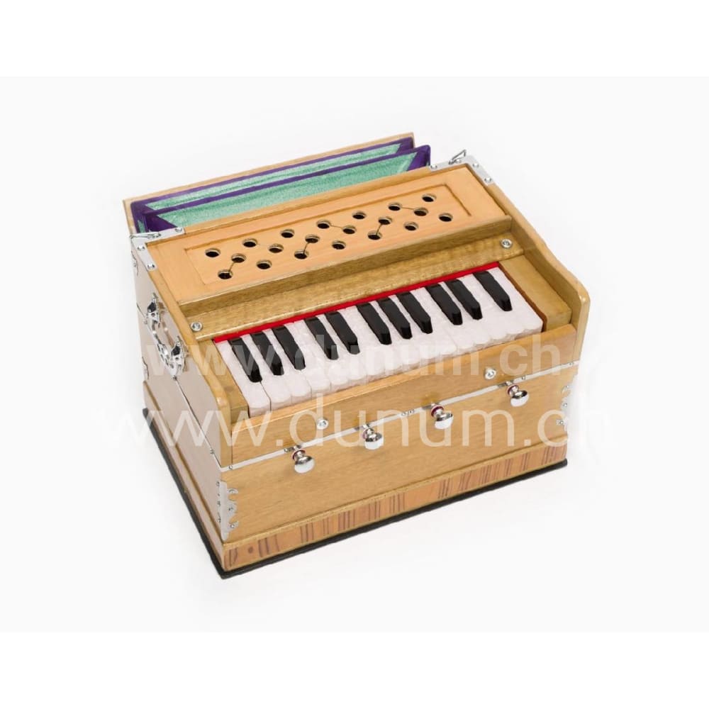 Sarangg Mini Pro 440 Hz oder 432 Hz 440 Hz