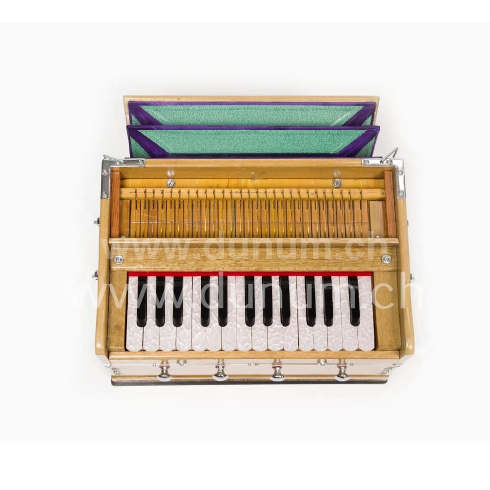 Sarangg Mini Pro 440 Hz oder 432 Hz