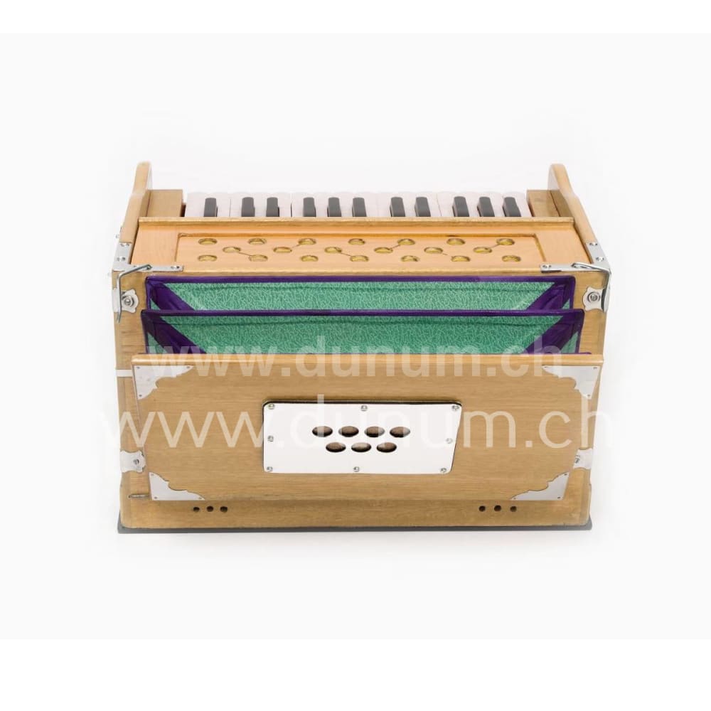 Sarangg Mini Pro 440 Hz oder 432 Hz