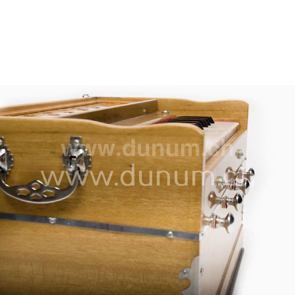 Sarangg Mini Pro 440 Hz oder 432 Hz