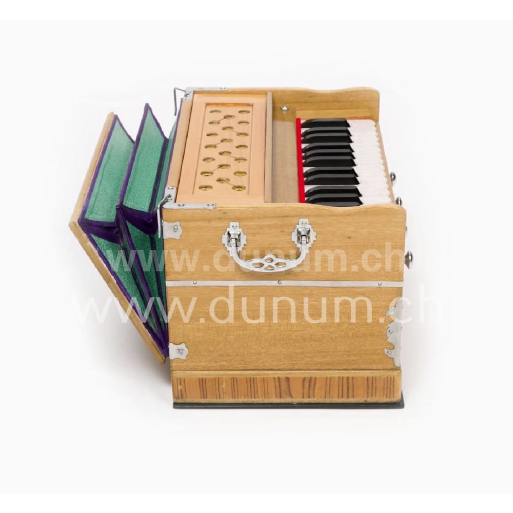 Sarangg Mini Pro 440 Hz oder 432 Hz