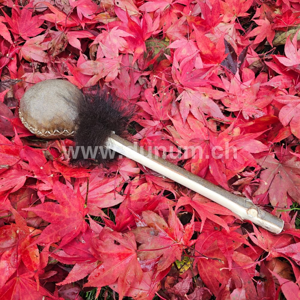 Schamanenrassel Bison