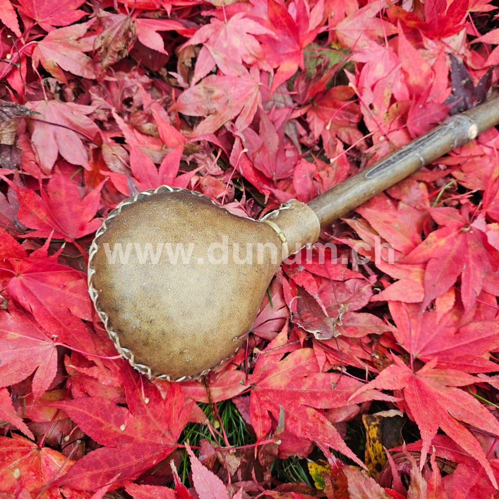 Schamanenrassel Bison