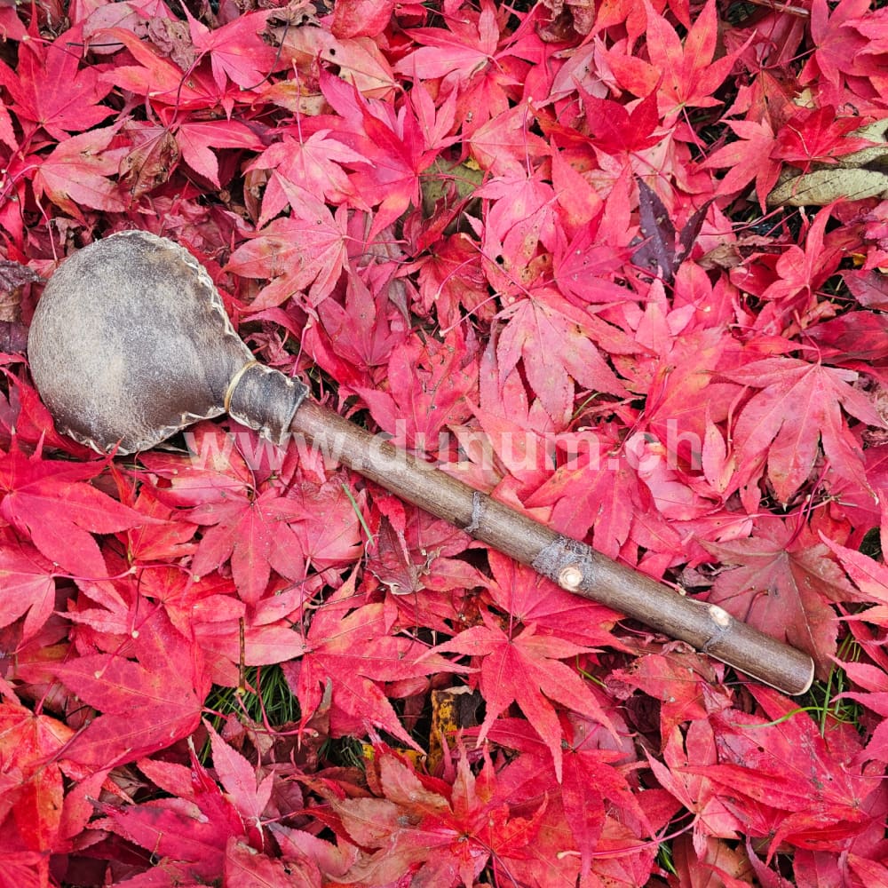 Schamanenrassel Bison