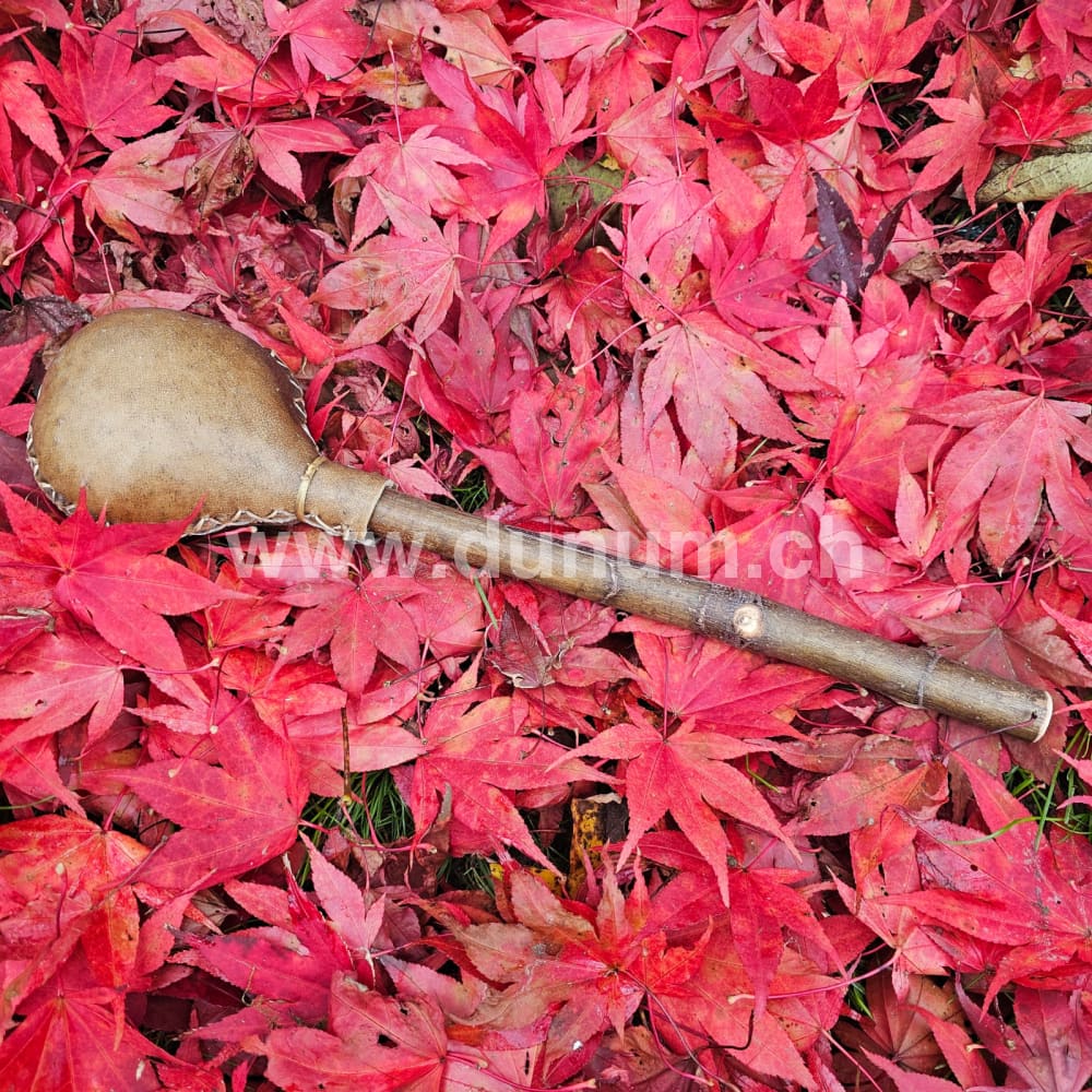 Schamanenrassel Bison