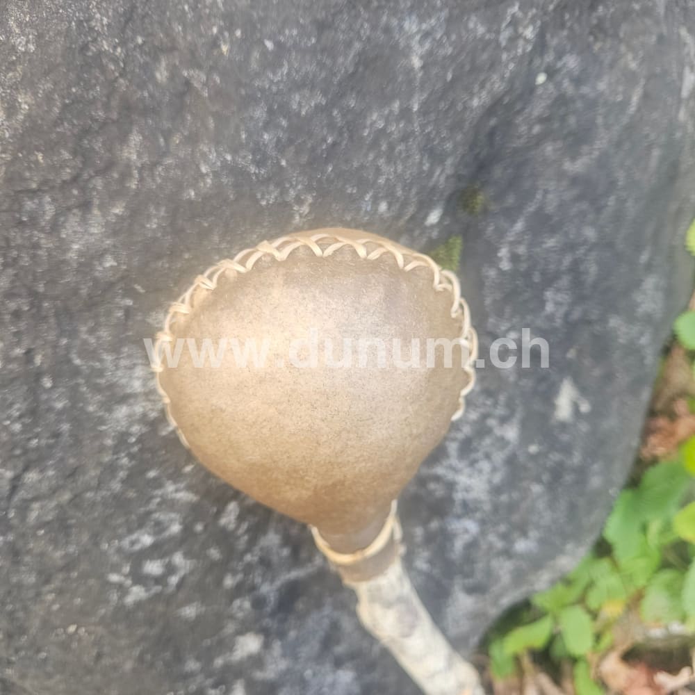 Schamanenrassel Elch