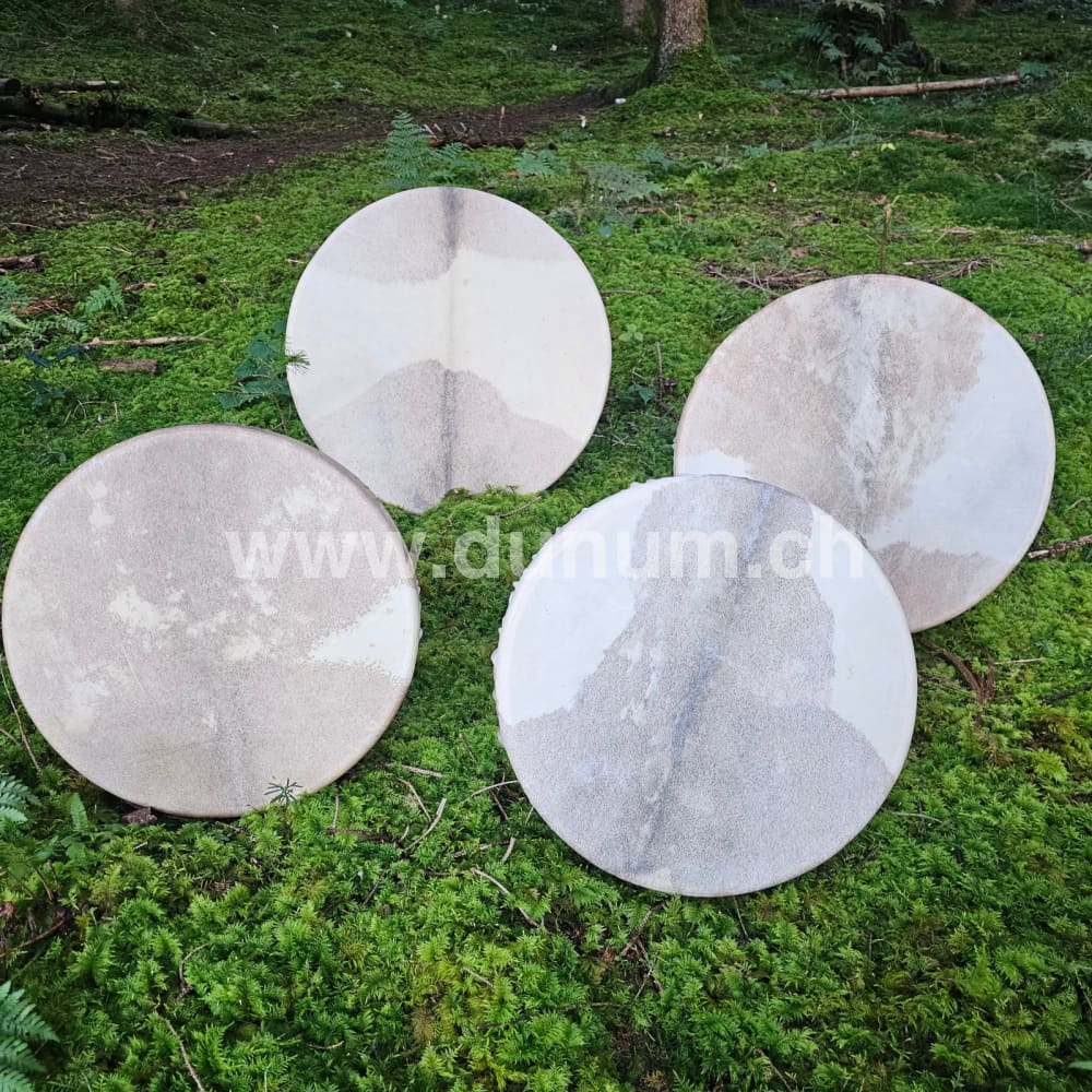 Schamanentrommel ø 40 oder 50 cm - Ziege mit Tasche