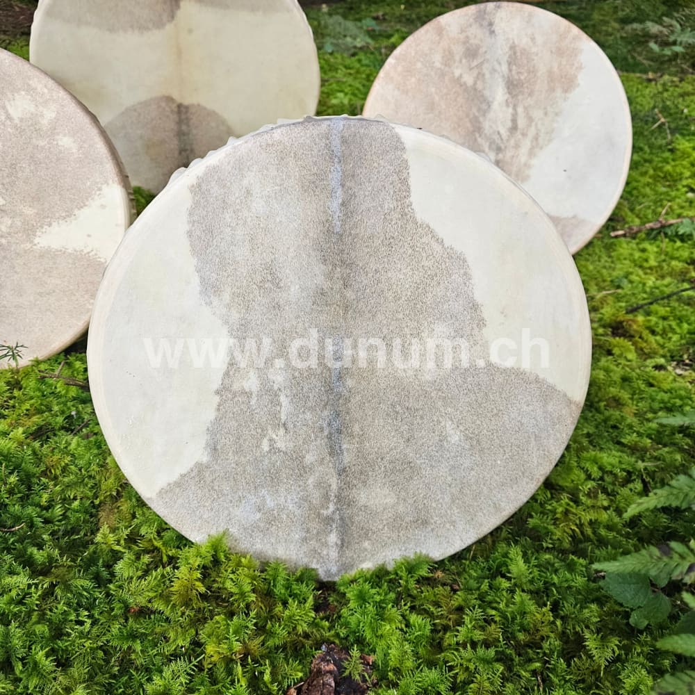 Schamanentrommel ø 40 oder 50 cm - Ziege mit Tasche