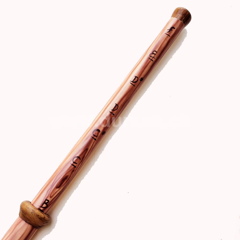 Slidedidgeridoo | Didgeridoo| Dunum.ch