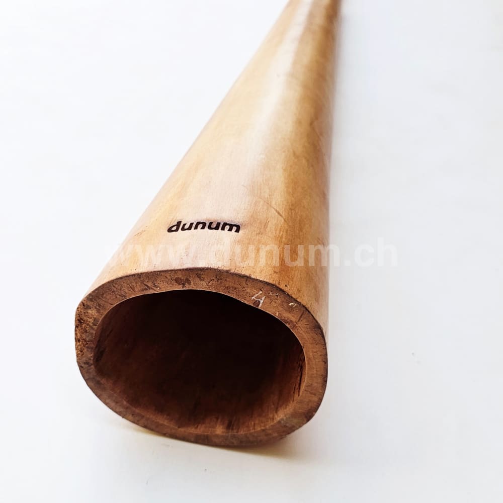 Slidedidgeridoo | Didgeridoo| Dunum.ch