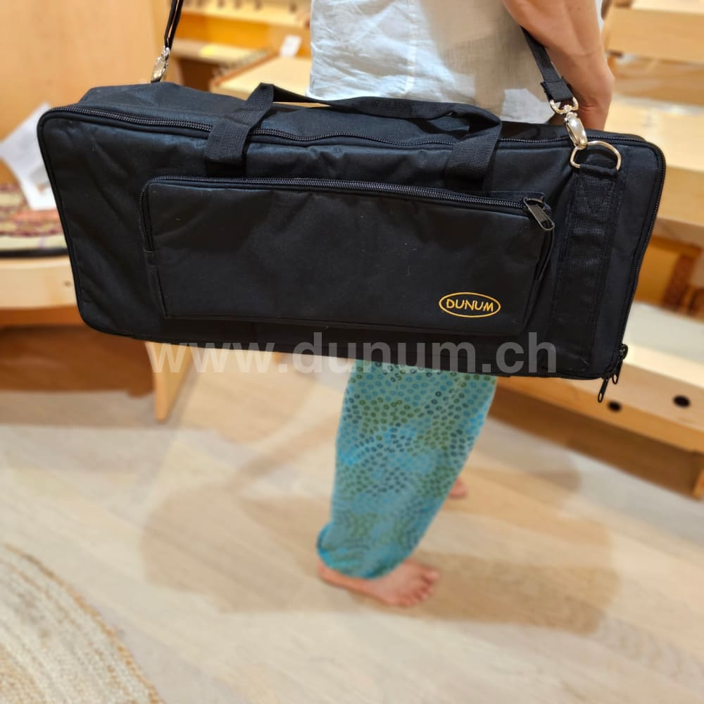 Tasche für Monochord Modell A Pro