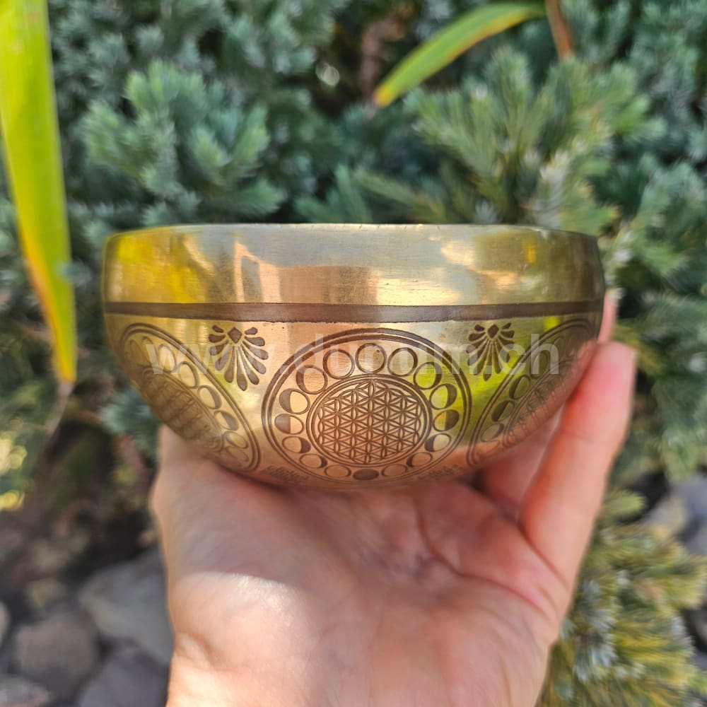 Tibetische Klangschale - ø 12 cm | C # | Om