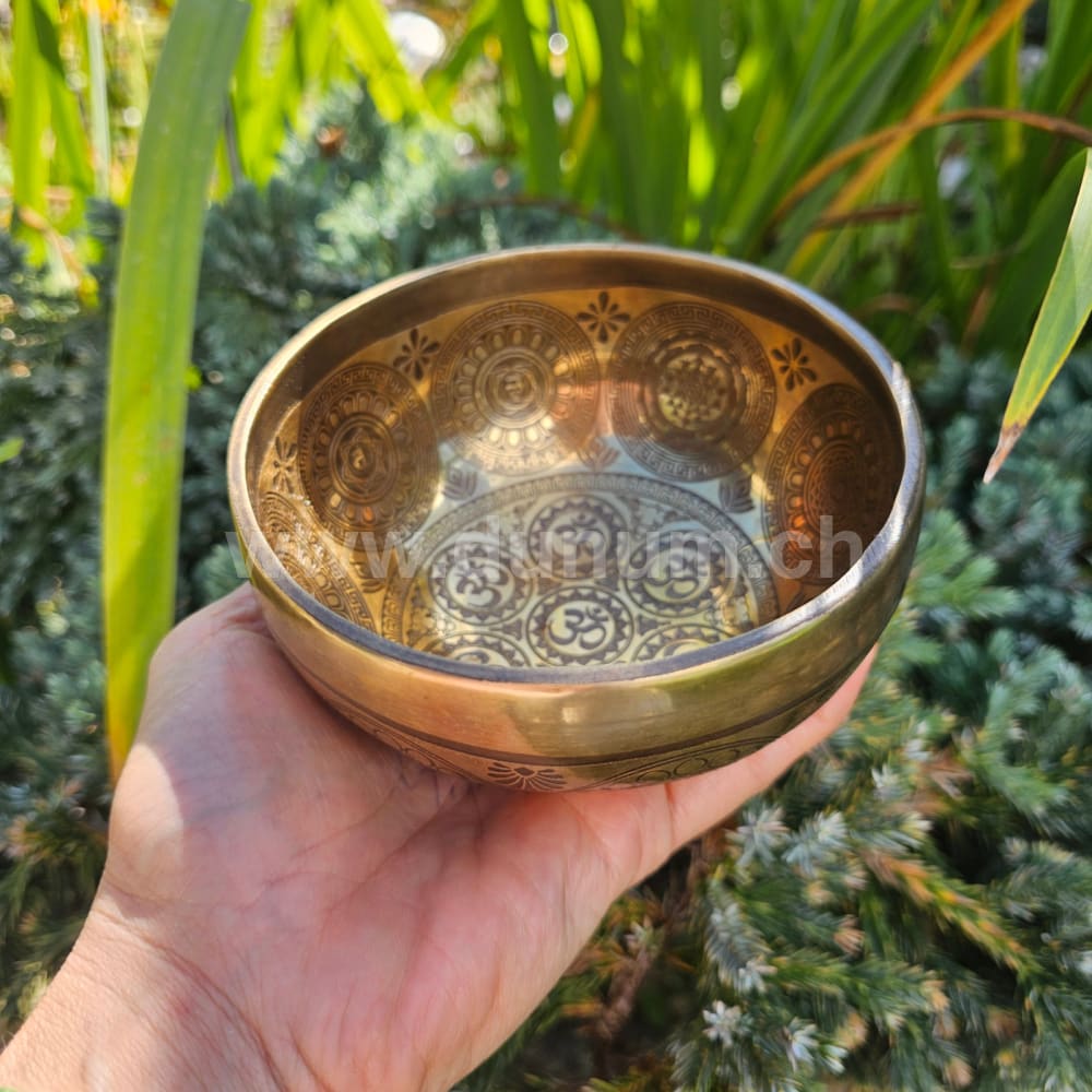 Tibetische Klangschale - ø 12 cm | C # | Om