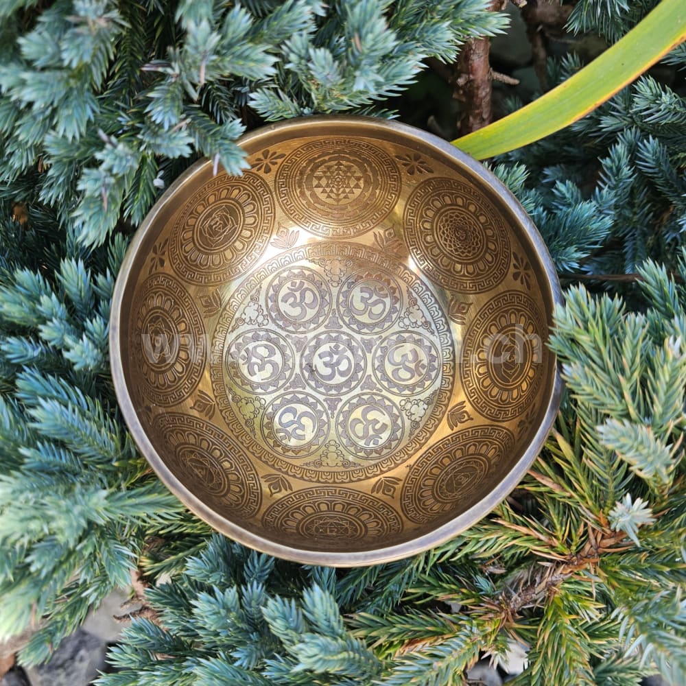 Tibetische Klangschale - ø 12 cm | C # | Om