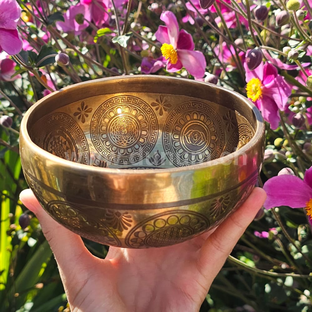 Tibetische Klangschale - ø 12 cm | C # | Om