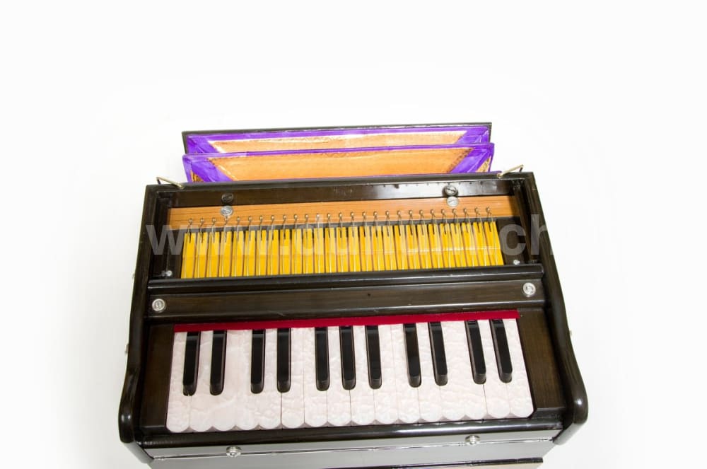 Tirupati Basic Pro