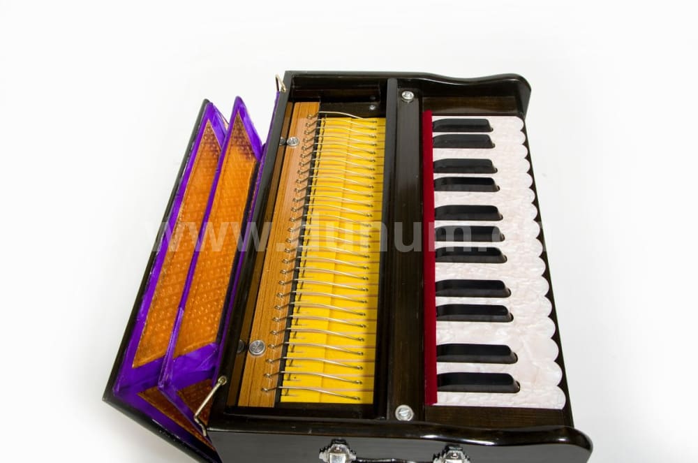 Tirupati Basic Pro