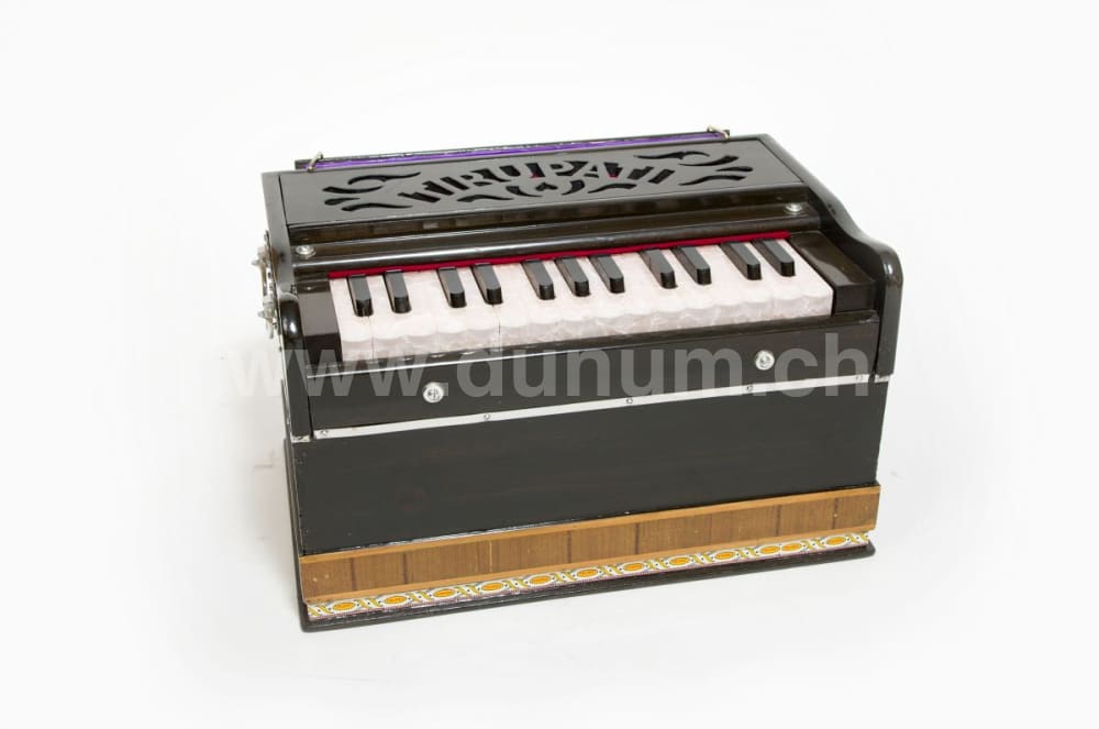 Tirupati Basic Pro