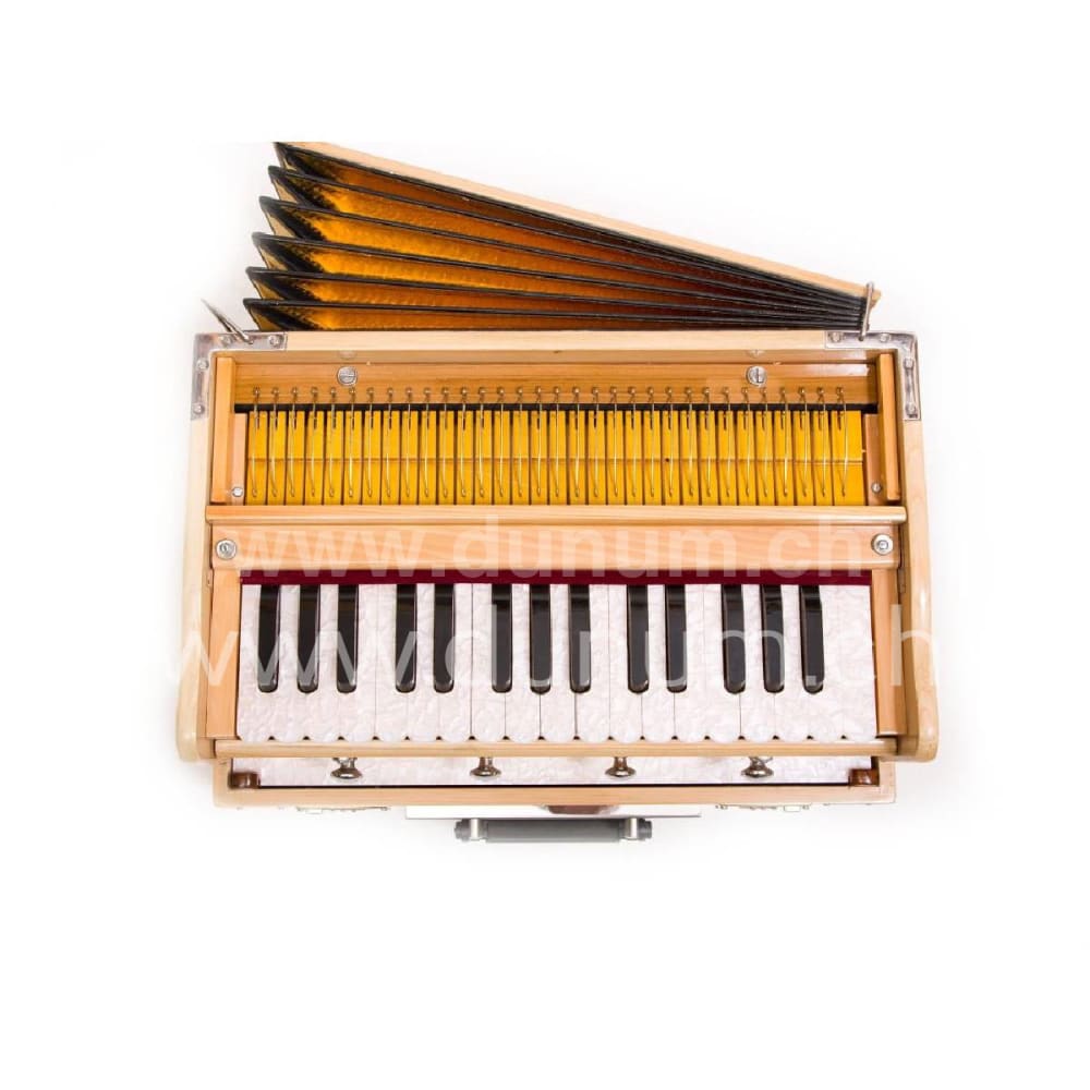 Tirupati Kirtan Premium Mini