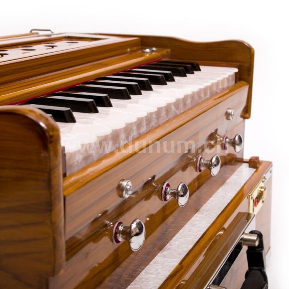 Tirupati Kirtan Premium Mini