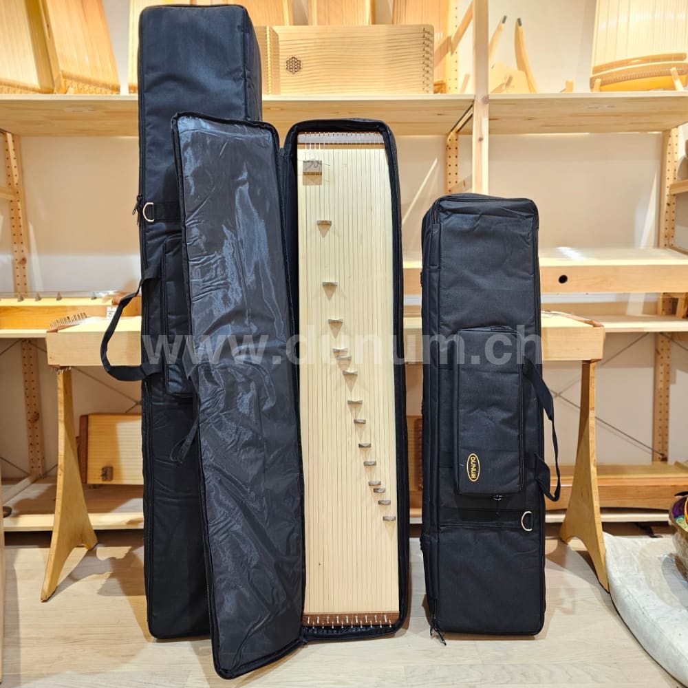 Transporttasche Kotamo und Doppelmonochord