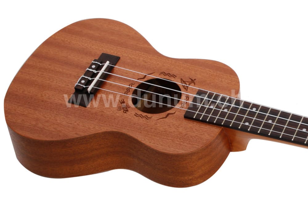 Ukulele Concerto mit Tasche | Saiteninstrumente | Ukulele, Eco Guitarre & Bass | Dunum.ch