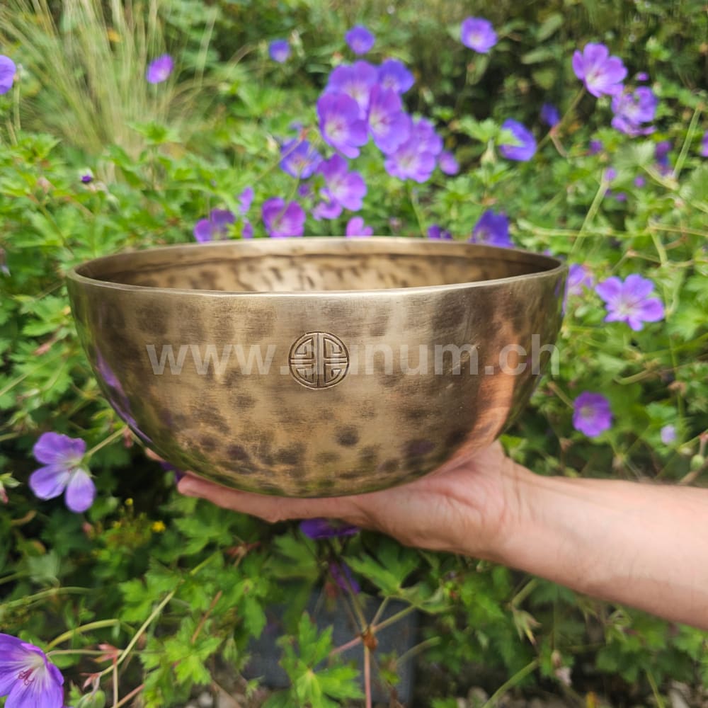 Vollmond-Klangschale aus Nepal | Ø 22.5 cm | D 432 Hz