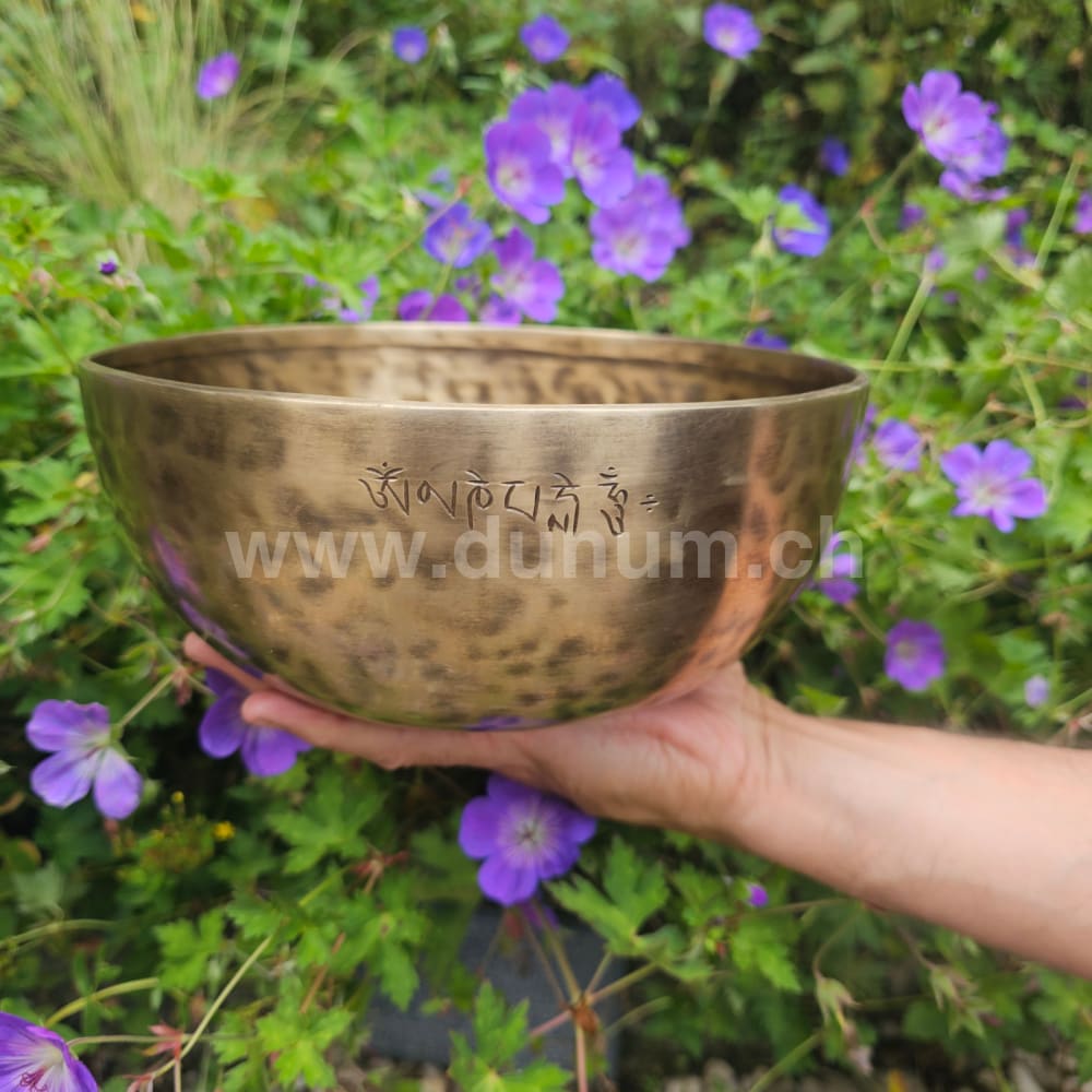 Vollmond-Klangschale aus Nepal | Ø 22.5 cm | D 432 Hz